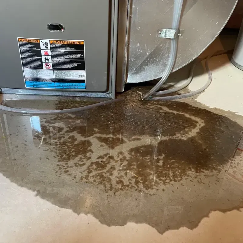 Appliance Leak Cleanup in Clayton, NM